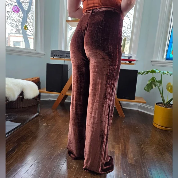 Reformation Wes Velvet Wide Leg Pants In Chestnut - Picture 2 of 16